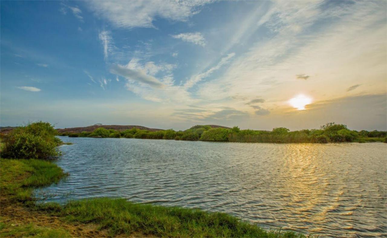 Nikara Nature Resort Arugam Bay Zewnętrze zdjęcie