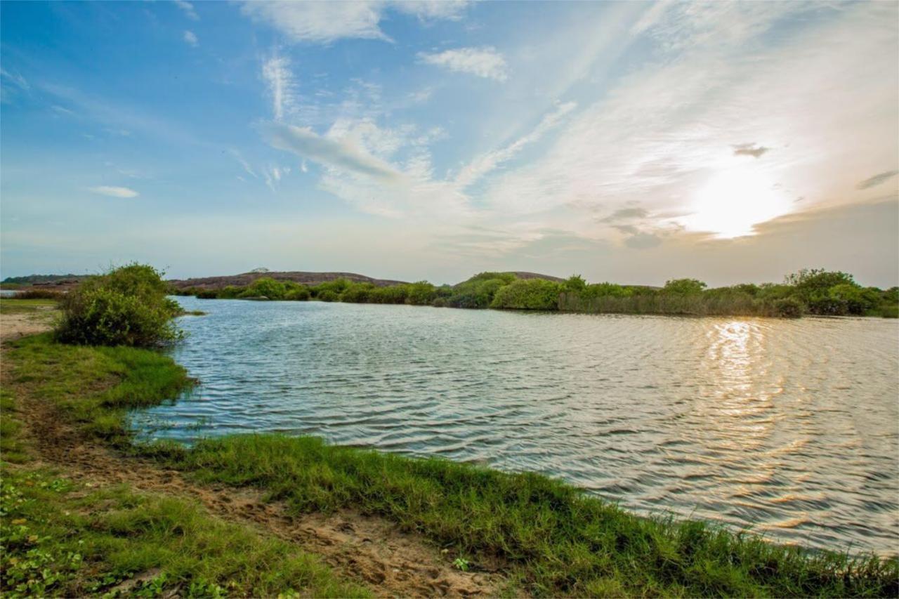 Nikara Nature Resort Arugam Bay Zewnętrze zdjęcie